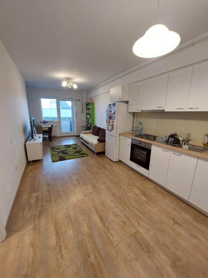 Iris Cluj Apartament 외부 사진